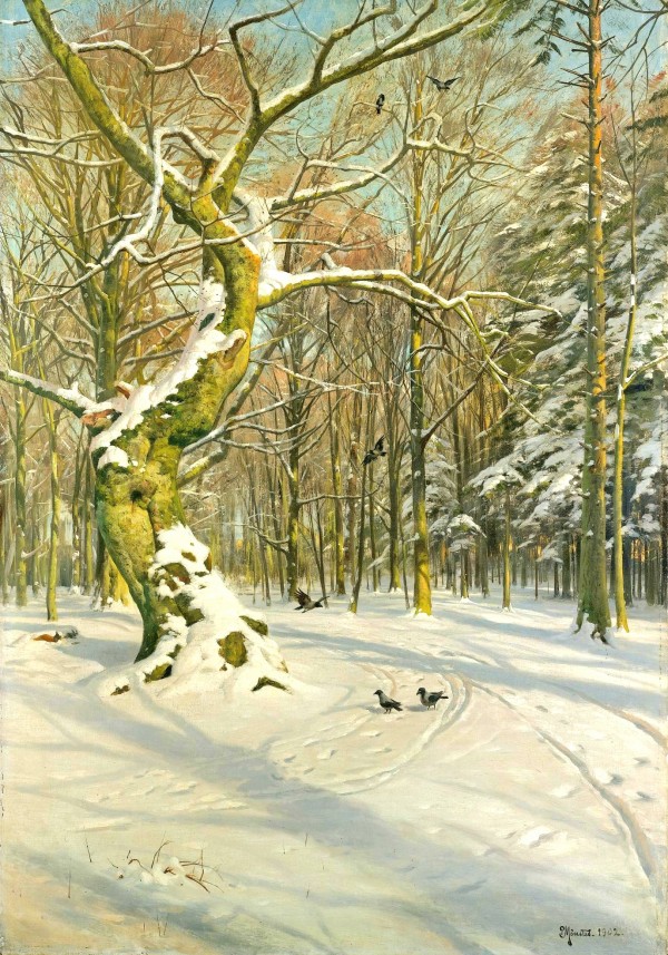 Tracks through the forest by Peter Mork Monsted